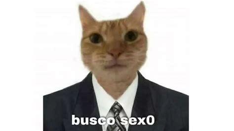 busco sexo